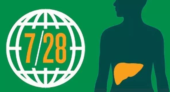 2015國內(nèi)肝炎用藥市場(chǎng)超400億元：護(hù)肝藥為領(lǐng)先品類，占比1/...