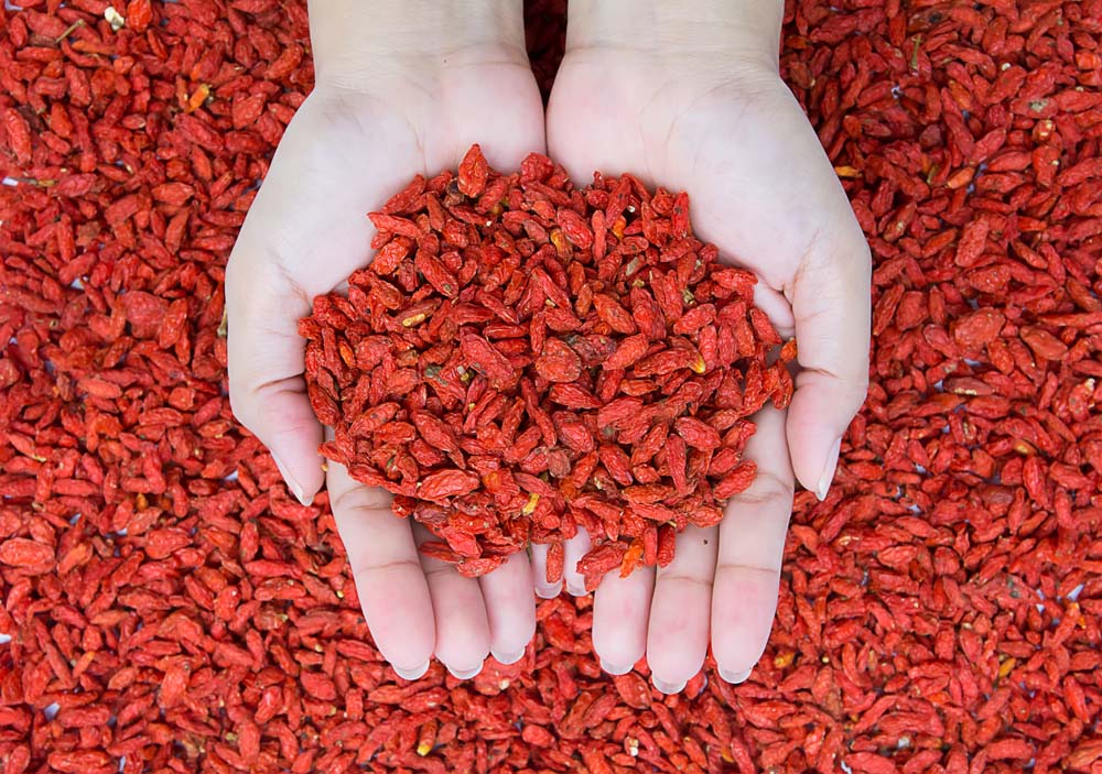 如何辨別枸杞是否人工染色？