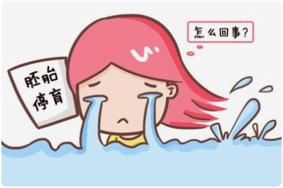 好好的胚胎怎么就停育了呢？